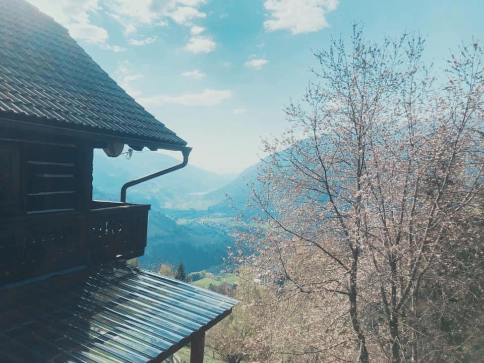 라덴테인 Bauernhof Oberfriessnig 빌라 외부 사진
