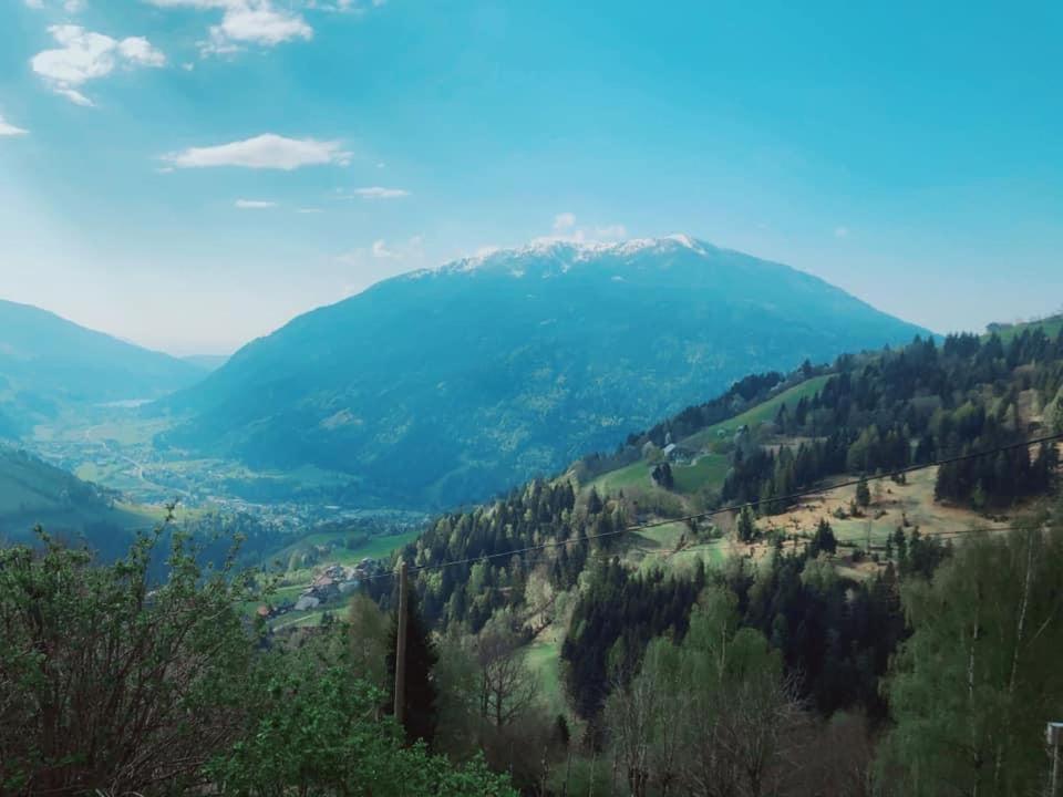 라덴테인 Bauernhof Oberfriessnig 빌라 외부 사진